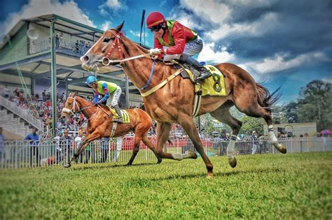 Horse Racing Tracks .